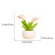 thumbnail image 3 of Planta en maceta de resina de simulación de cactus | Mini adorno de suculentas artificiales para decoración del hogar, escritorio, automóvil, regalo | Morado con bufanda | Lindo diseño pequeño y, 3 of 6
