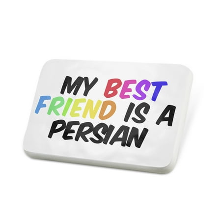 Porcelein Pin My best Friend a Persian Cat from Greater Iran Lapel Badge –