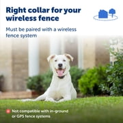 PetSafe Stay & Play Wireless Fence with Replaceable Battery Dog & Cat Collar, Waterproof