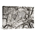 thumbnail image 1 of Global Gallery Birgit Koch,'Leopard climbing on tree, Namibia, Africa' Stretched Canvas Artwork, 1 of 3