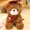 C, variant on HaCpiu 2026 Graduation Bear Plush Toy, Graduation Decorations Stuffed Animal with Grad Cap & Scroll, Perfect Keepsake for High School, College Grads, Graduation Party & New Beginning Displays