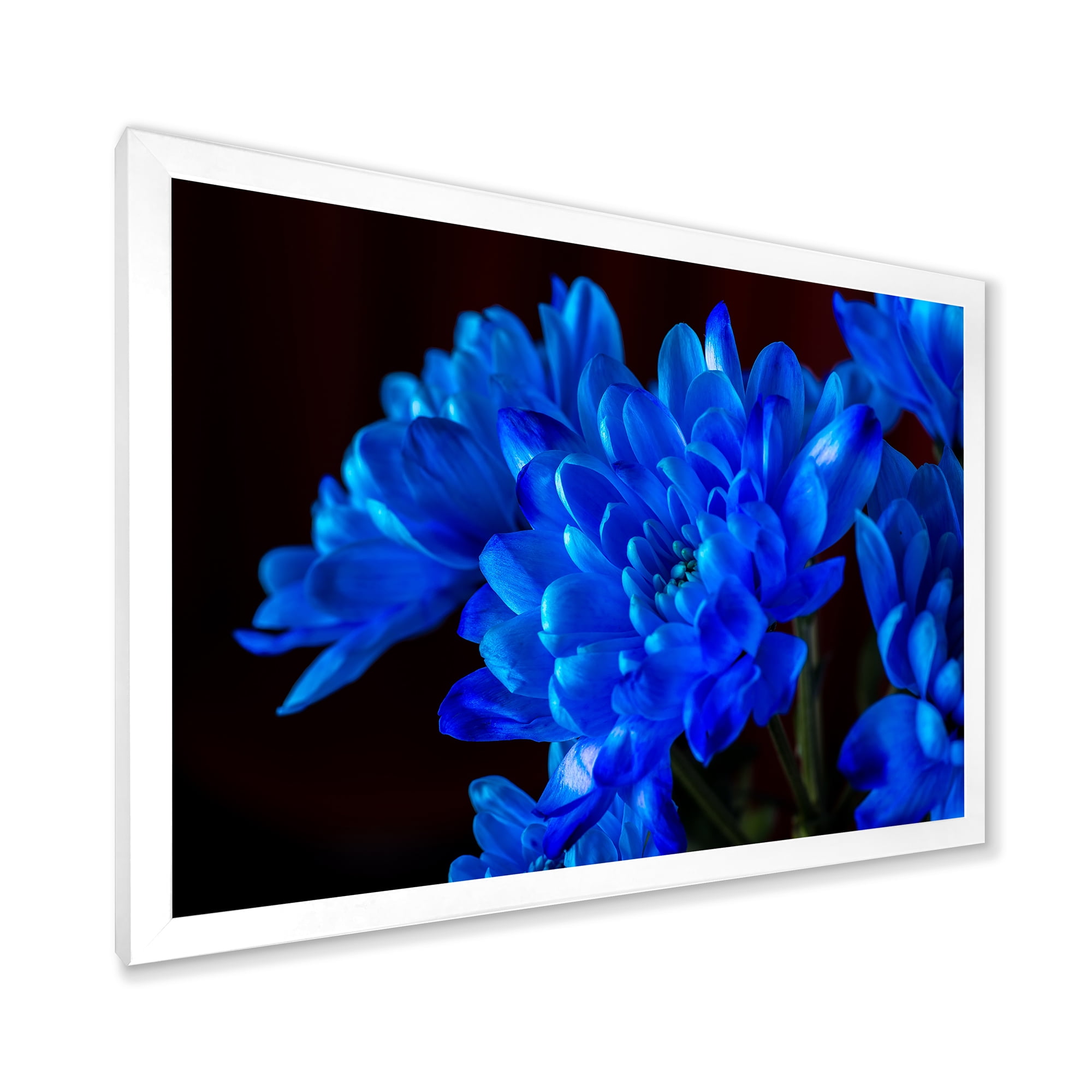 Designart 'Blue Chrysanthemum Flowers On Black Backround' Traditional Framed Art Print