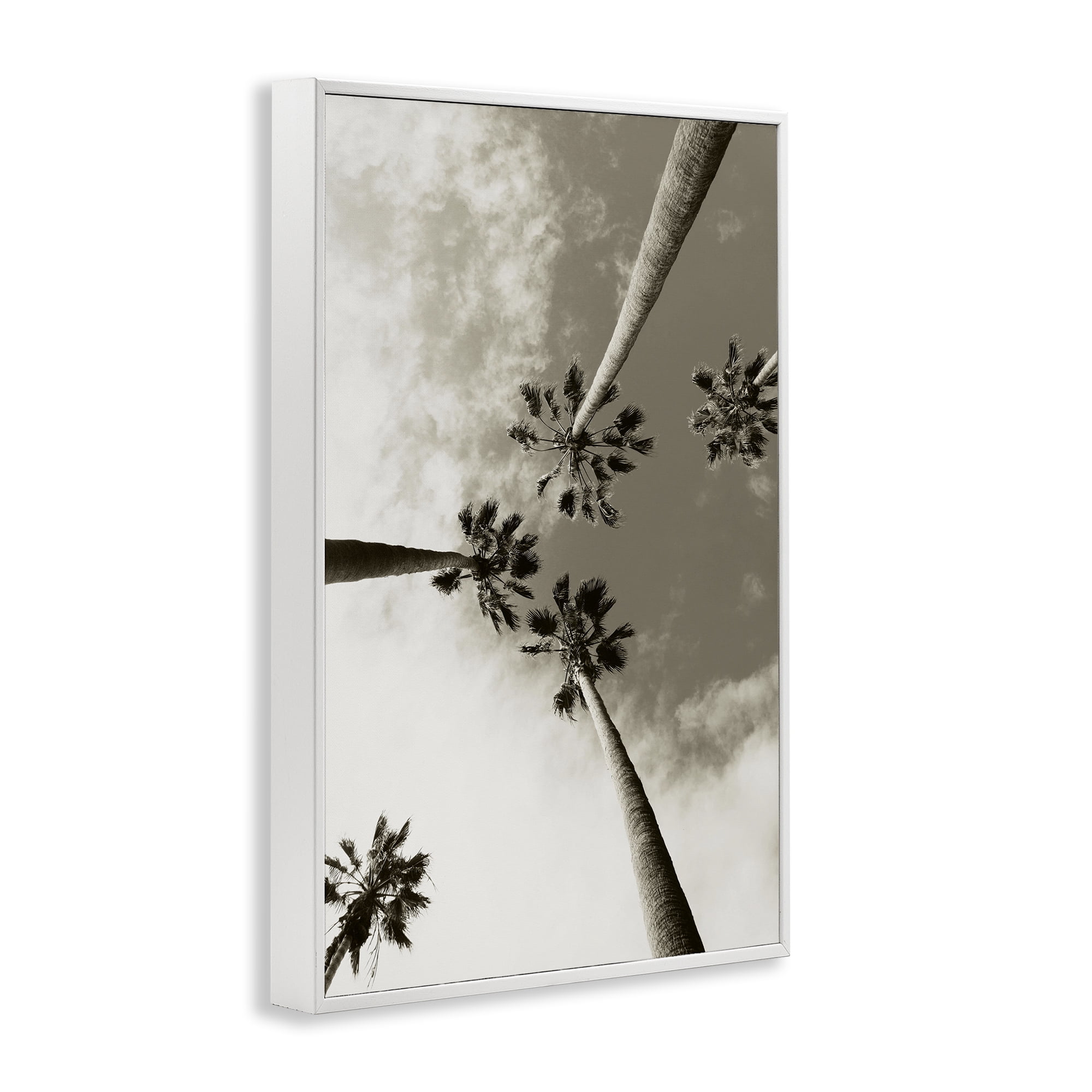 Stupell Industries Centric Palm Trees Botanical & Floral Photography White Framed Art Print Wall Art, 12 x 18
