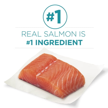 Purina One Tender Selects Blend Dry Cat Food Salmon, 7 lb Bag - Image 6