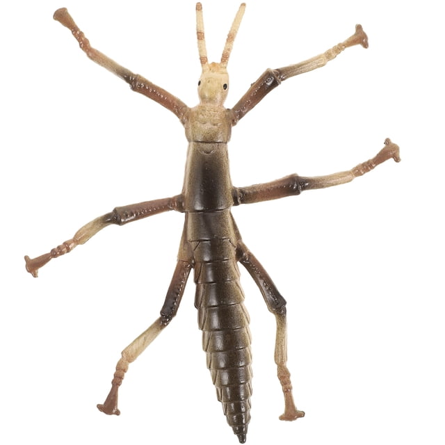Miangastore 1Set Stick Insect Toy for Children with Educational Function in Coffee Color 10.5X9X1in Plastic