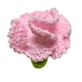 thumbnail image 1 of Ramo de flores eternas de crochet, ramo de punto hecho a mano, San Valentín, Día de la Madre, cumpleaños, boda, decoración del hogar, amigos, graduación, 1 of 6