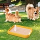 thumbnail image 5 of Inodoro para Perros Sunnimix Almohadillas de Entrenamiento Amarillo Baño de perros, 5 of 8