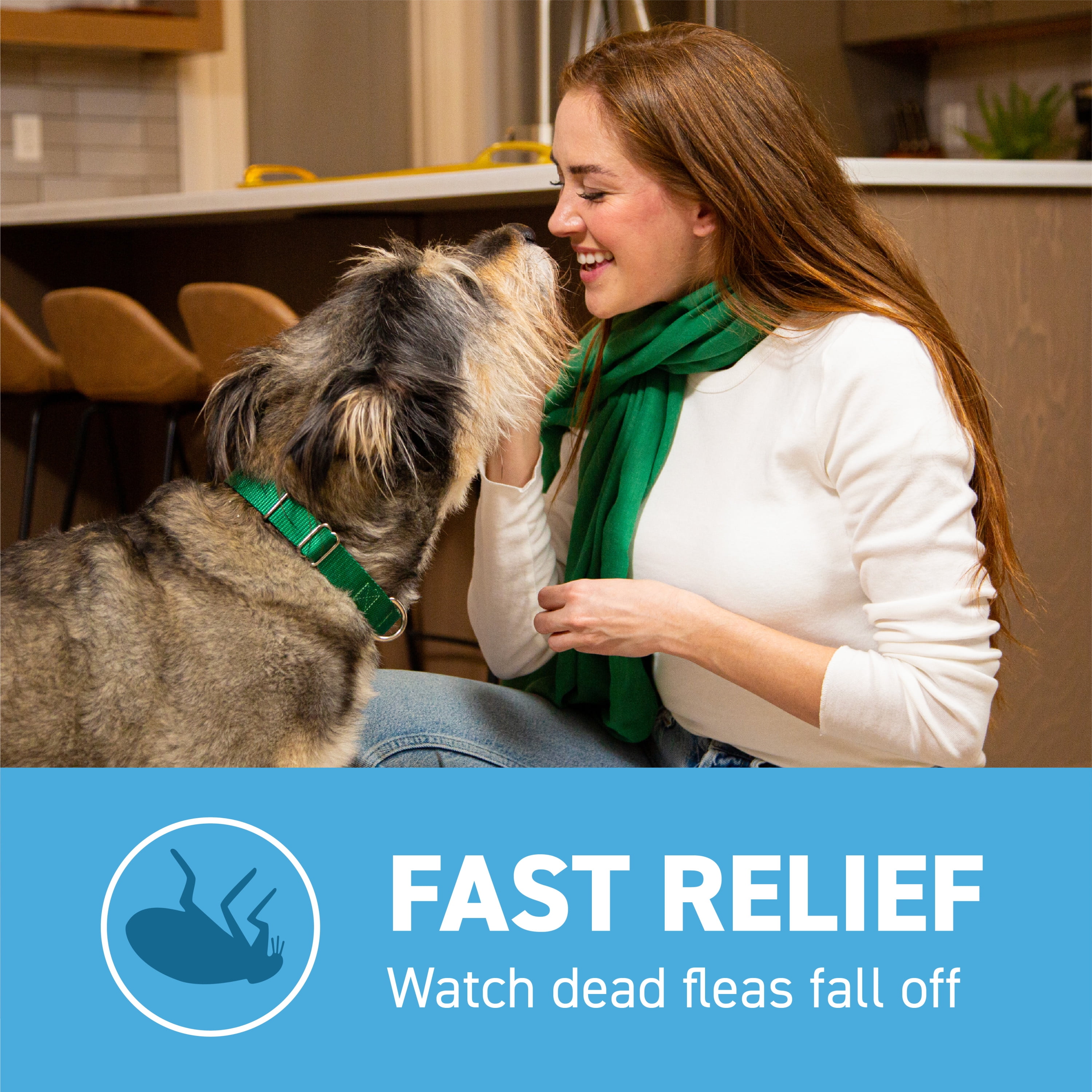 Capstar flea killer walmart online