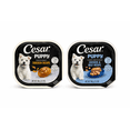 thumbnail image 6 of Cesar Puppy Wet Dog Food Variety Pack, Chicken Recipe & Chicken and Beef Recipe, Filets in Gravy, 3.5 oz Trays, 2 Pack, 6 of 6