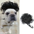 thumbnail image 4 of Funny Pet Wig, Afro Explosion Hair Costume Wig for Cats and Dogs, Hilarious Photo Prop for Halloween, Parties and Comedic Videos. Black One Size, 4 of 4
