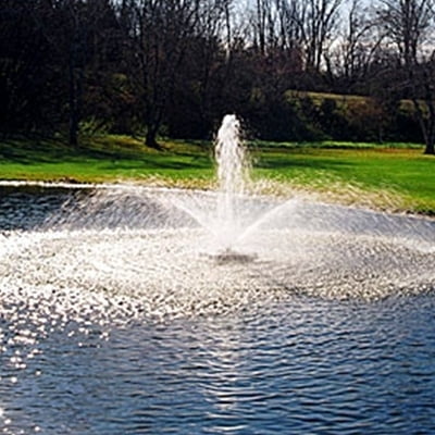 3/4hp Decorative Fountain 100 foot cord 120 volt