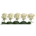 thumbnail image 4 of "Painted Joy Confetti" Roses - 50 cm - Fresh Cut Flowers - 50 Stems - White Roses - by Bloomingmore, 4 of 9