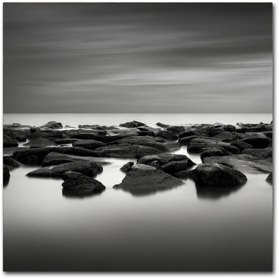 Trademark Fine Art "High Tide" Canvas Art by Dave MacVicar