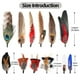 thumbnail image 2 of Plumas de pavo real naturales FeelFunFeather, 12 unidades, para sombreros, 2 of 7