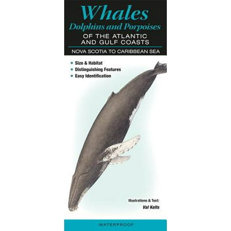 Whales, Dolphins and Porpoises of the Atlantic and Gulf Coasts : Nova Scotia to Caribbean