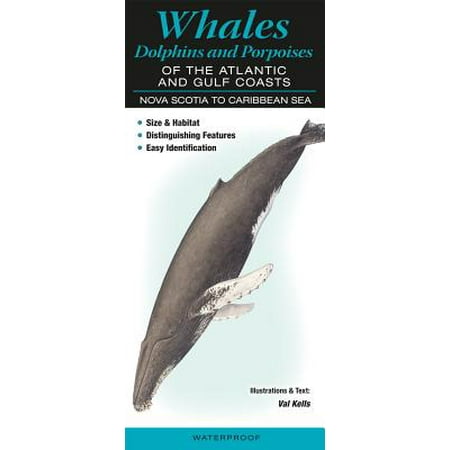 Whales, Dolphins and Porpoises of the Atlantic and Gulf Coasts : Nova Scotia to Caribbean (Best Beaches In Nova Scotia For Sea Glass)