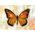 thumbnail image 2 of Baran, John 32x24 White Modern Wood Framed Museum Art Print Titled - Monarch No. 1.0, 2 of 4