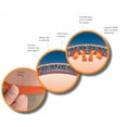 thumbnail image 3 of Thermoskin Night Time Relief for Plantar Fasciitis Plantar FXT, Small, 3 of 3