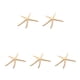 thumbnail image 1 of Estrella de Mar Natural Wosthever 5-10 cm 10-12 cm Decoración, 1 of 6