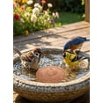thumbnail image 3 of Bird Bath Copper Disc,0.6mm Reinforced 99.99% Pure Copper Cleaning Disk for Physical Safe Clean Water for Outdoor Birdbaths, 3 of 4