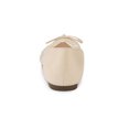 thumbnail image 2 of BLISSFUL STEP Women's Pointed Toe Rhinestone Mesh Bow Ballerina Flats, 2 of 7