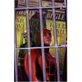 thumbnail image 1 of Pre-Owned Daredevil: The Devil, Inside and Out, Vol. 1 (Paperback) 0785119884 9780785119883, 1 of 1