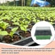 thumbnail image 5 of Bearachild Caja de cultivo de plantas de 12 semillas, bandeja de siembra para vivero, cubierta de miniinvernadero para germinación, preservación Type3, 5 of 6