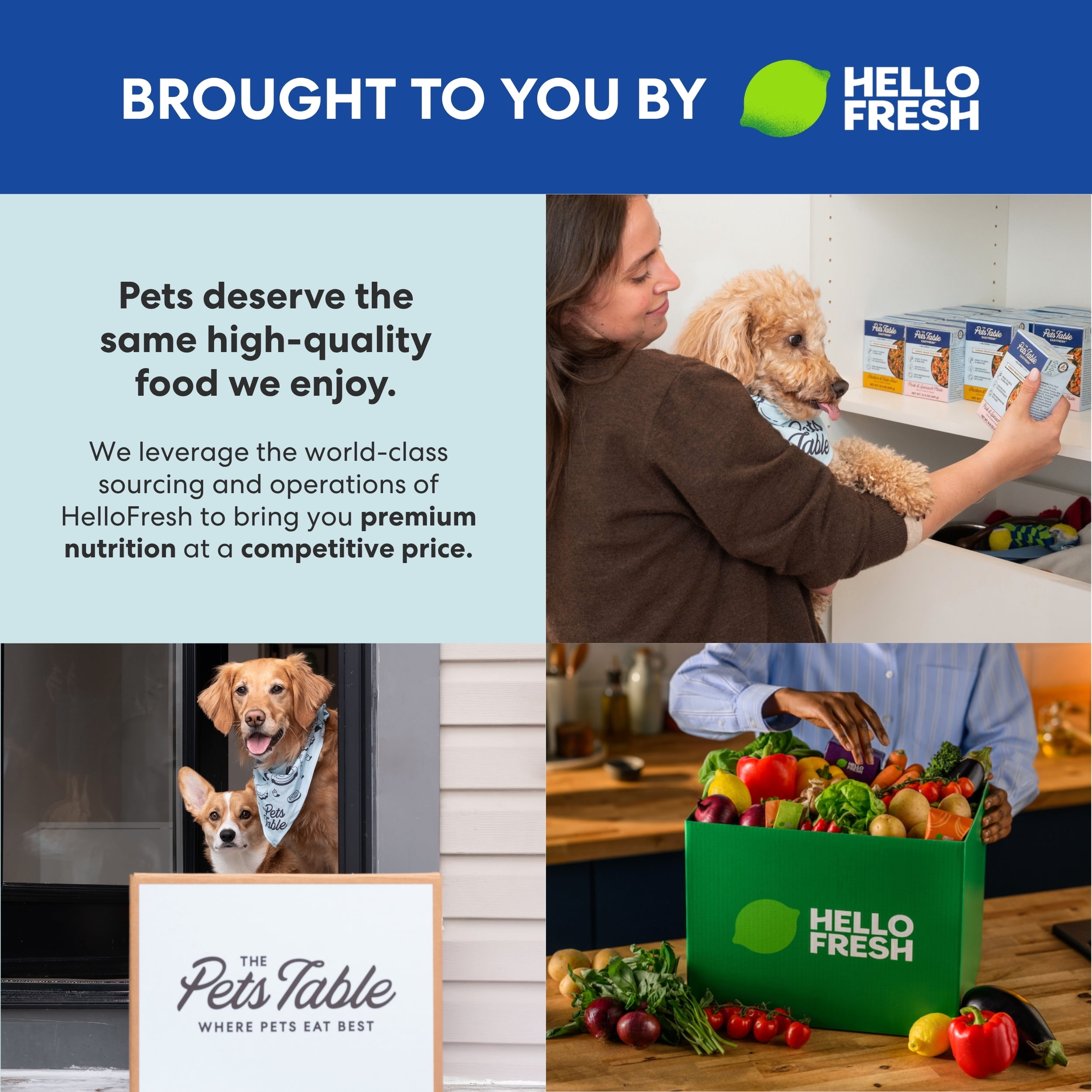 (6 pack) The Pets Table EasyFresh™ Human-Grade Dog Food, Pork & Spinach Plate, 12.3oz