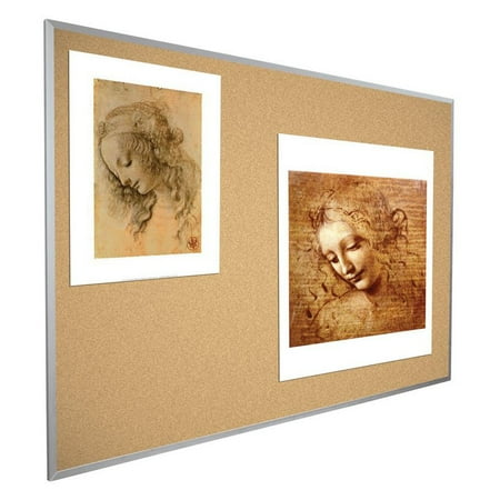 Best-Rite 24W x 18H in. Natural Cork Tackboard
