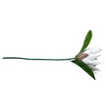 thumbnail image 3 of Tela de seda Flor falsa Oficina en casa Decoración floral Fiesta Ceremonia Flor artificial Fotografía Prop, Blanco Advancent HA6650-01B, 3 of 6