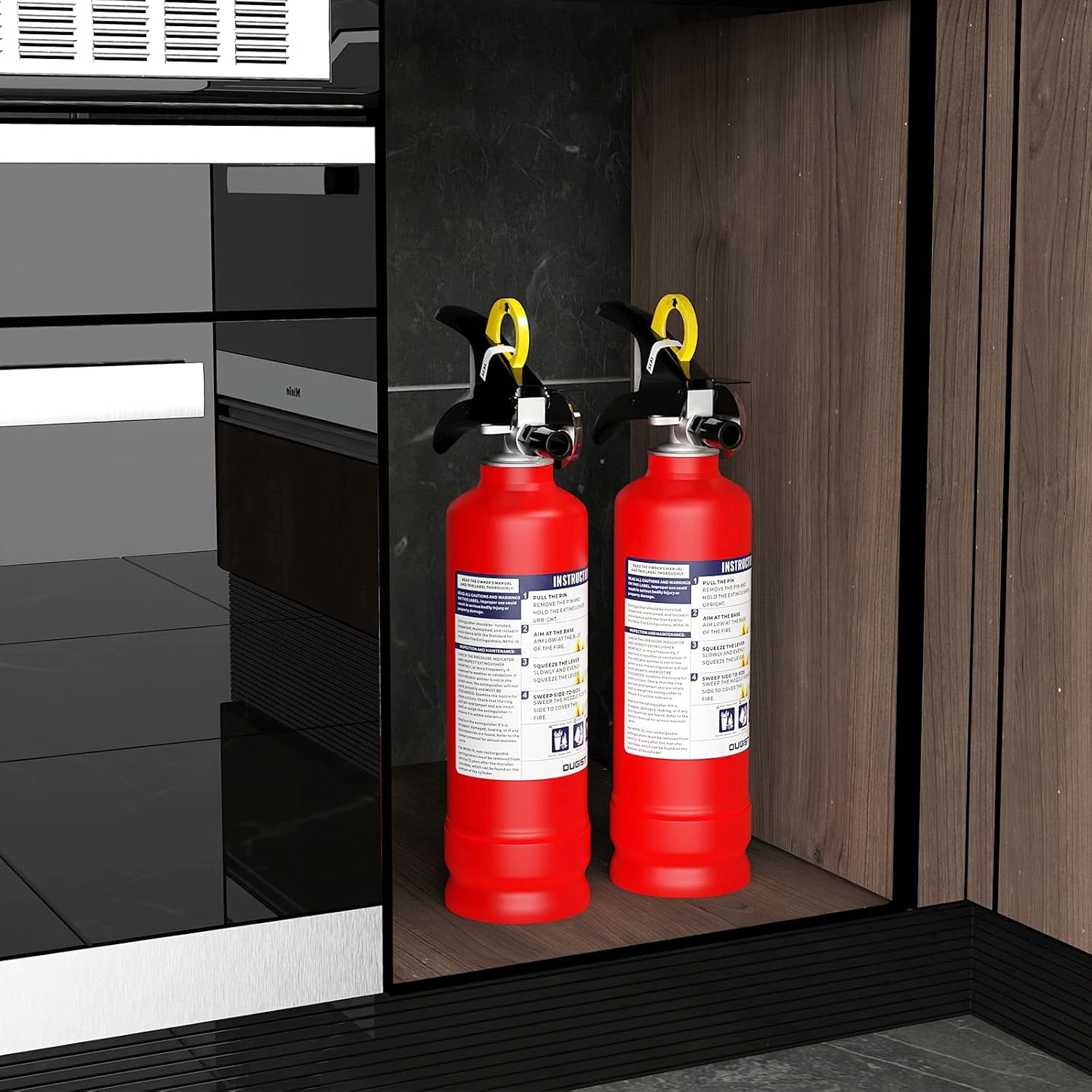Ougist ABC Dry Chemical Fire Extinguisher 2.5 lb, 1-A:10-B:c Rated with Wall Mount Bracket & Quick-Release Handle, Used for Kitchen Car Boat Vehicle