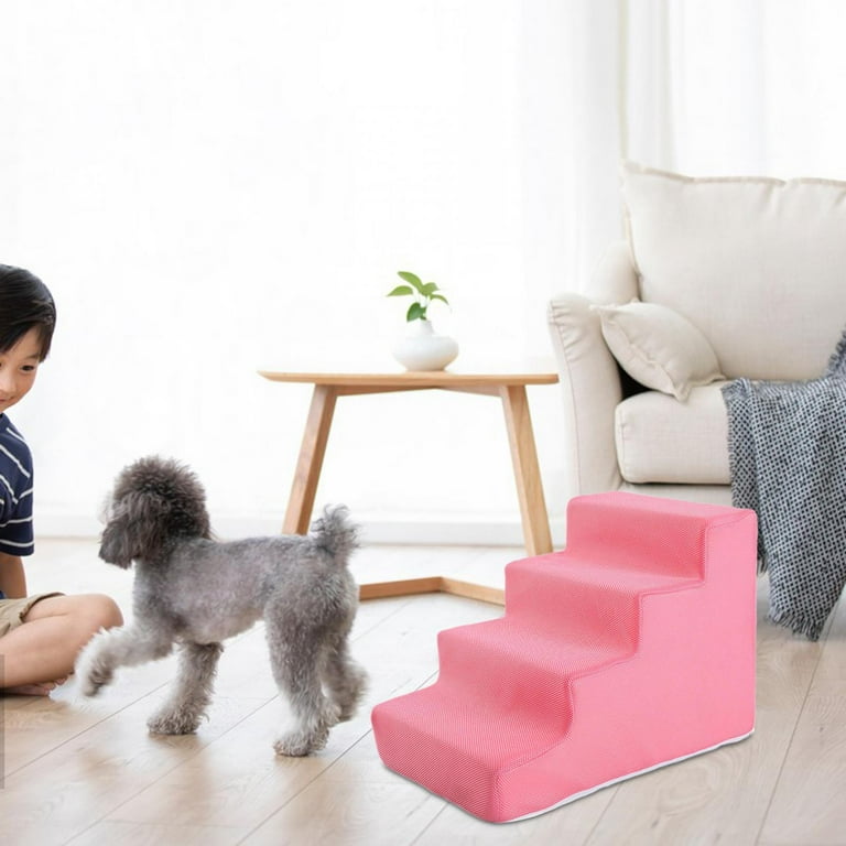 Pink dog stairs 2025