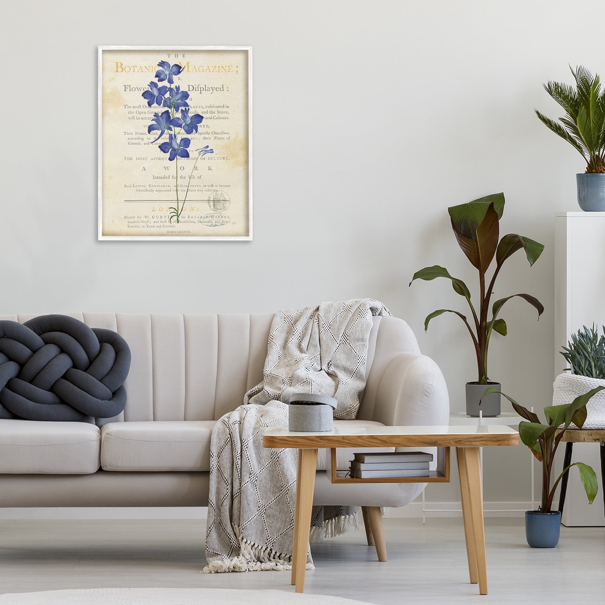 Stupell Industries Natural Botanic Garden Flower White Framed Giclee Art, design by Susan Arnot