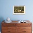 thumbnail image 5 of A Male Pheasant, Animals Scenic Framed Art Print Wall Art by Duncan Shaw Sold by Art.Com, 5 of 6