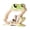 frog, variant on Wooden Dinosaur Piggy Bank, Cute Wood Dino Money Bank, Creative Saving Coin Jar, Personalized Present for Child Birthday & Decor