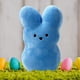 thumbnail image 3 of Animal Bunny Dolls Mini conejo de peluche corto de peluche para el día de Pascua (azul) Likrtyny libre de BPA, 3 of 6
