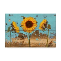 Trademark Fine Art 'Sunflowers on Wood IV' Canvas Art by Sandra Iafrate