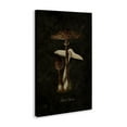 thumbnail image 3 of Stupell Industries Victorian Canvas Art, 24 x 36, by Tina Higgins Designs Inc., 3 of 8
