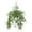 Holland Variegated, variant on Fully Assembled Ivy Hanging Basket by OakRidge, Holland Variegated