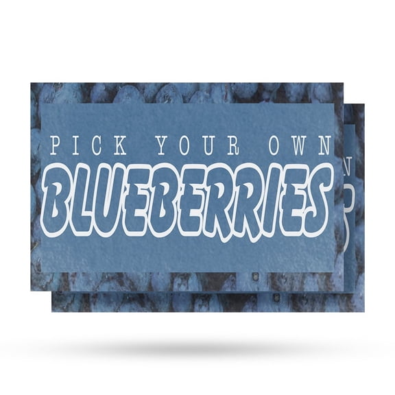 Pick Your Own Blueberries Vinyl Decal 2 Pack of 12 Inch x 16 Inch Weatherproof Heavy-Duty Adhesive Backing | Freshly Picked, Local Farms, Healthy Living | Made in USA