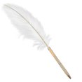 thumbnail image 1 of Stylish White Feather Ballpoint Pen Wedding Writing Pen Business Signature Pen, 1 of 5
