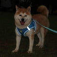 thumbnail image 4 of Soft Mesh Step in Small Dog Leash Set,Reflective Puppy Vest,Breathable Secure Harness with Leash for Small Dogs Puppies Cats Multi Sizes, 4 of 11