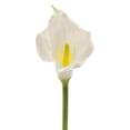 thumbnail image 2 of Flower Cala Lily White (Set of 3), 2 of 4