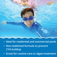 thumbnail image 3 of Cloro de choque para piscina In The Swim Cal-Hypo 22,7 kg desinfectante, 3 of 8