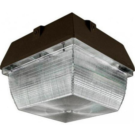 

Dabmar Lighting DW8800-LED20 9 x 9 in. 20W & 120-277V G24-LED Ceiling Fixture - Bronze