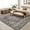 red, variant on Vintage Printed Area Rugs 5x7 Ultra-Soft Distressed Throw Rugs Stain-Resistant Traditional Floor Mat Machine Washable Thin Indoor Carpet Office Camel