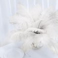 thumbnail image 2 of BalsaCircle 12 Pieces 13" 15" Authentic Ostrich Feathers Centerpieces Party Table, 2 of 8