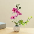 thumbnail image 4 of Flor falsa de doble horquilla, simulación de phalaenopsis, decoración creativa de bonsái pequeño, planta artificial en maceta, planta verde, 4 of 5