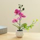 thumbnail image 4 of Flor falsa de doble horquilla, simulación de phalaenopsis, decoración creativa de bonsái pequeño, planta artificial en maceta, planta verde, 4 of 5