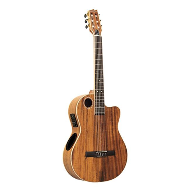 Boulder Creek Guitars ECL6 AcousticElectric Solid Laminate Classical